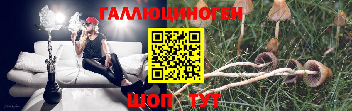 Галлюциногенные грибы прущие грибы Нарткала