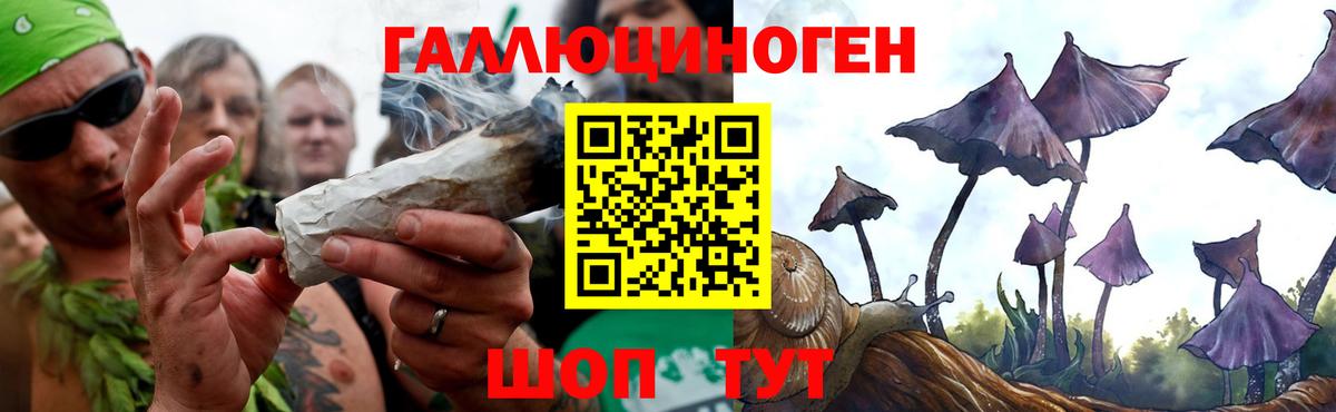 Галлюциногенные грибы Cubensis  Вход с VPN  купить   Нарткала  Псилоцибиновые грибы Magic Shrooms 